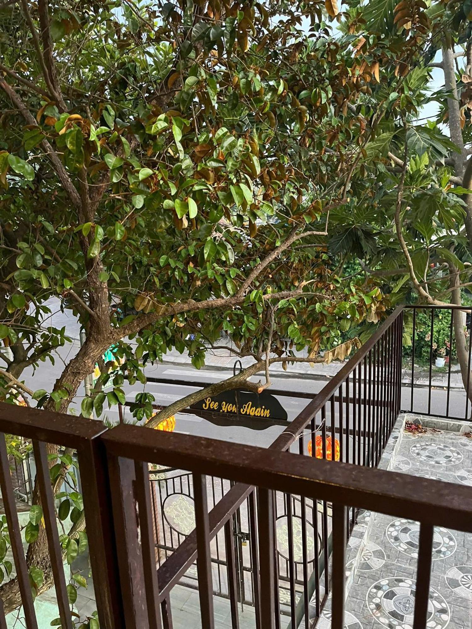 Milk Fruit Homestay - An Bang Beach Hoi An Exterior foto